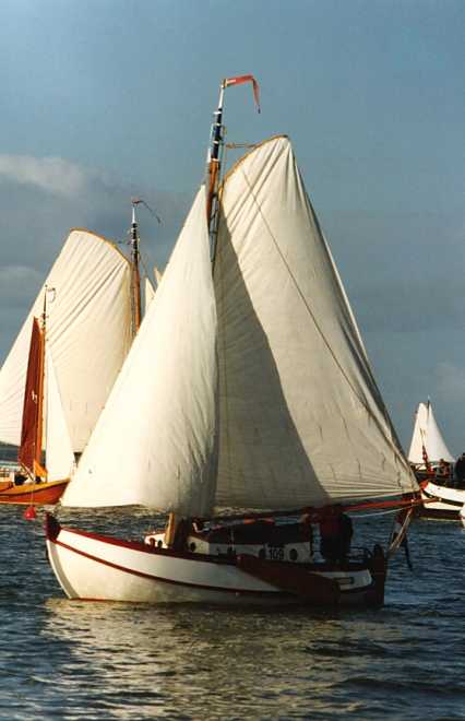 Dikkie Dik tijdens een bolkop